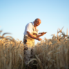 Safety Tips for our Farm Friends