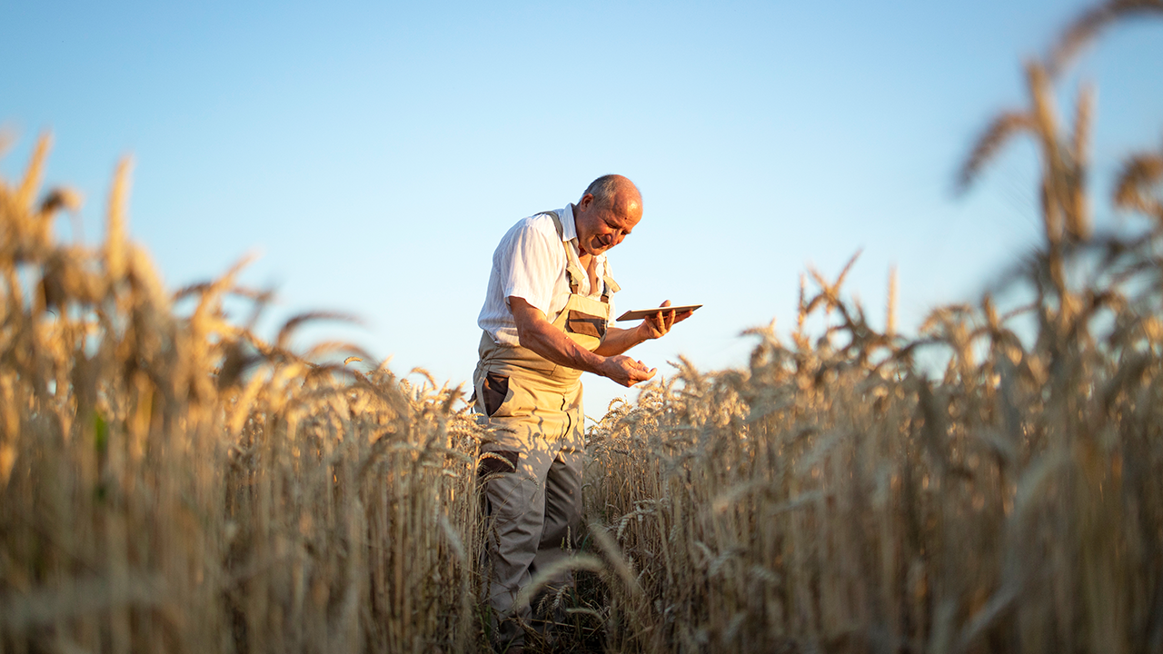 Safety Tips for our Farm Friends